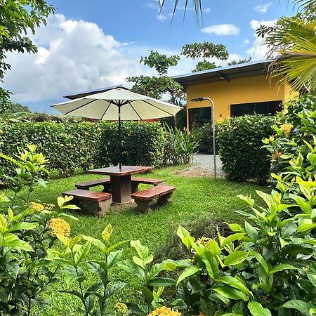 Uvita Oasis Retreat With Villa Cabins And Apartment Zewnętrze zdjęcie