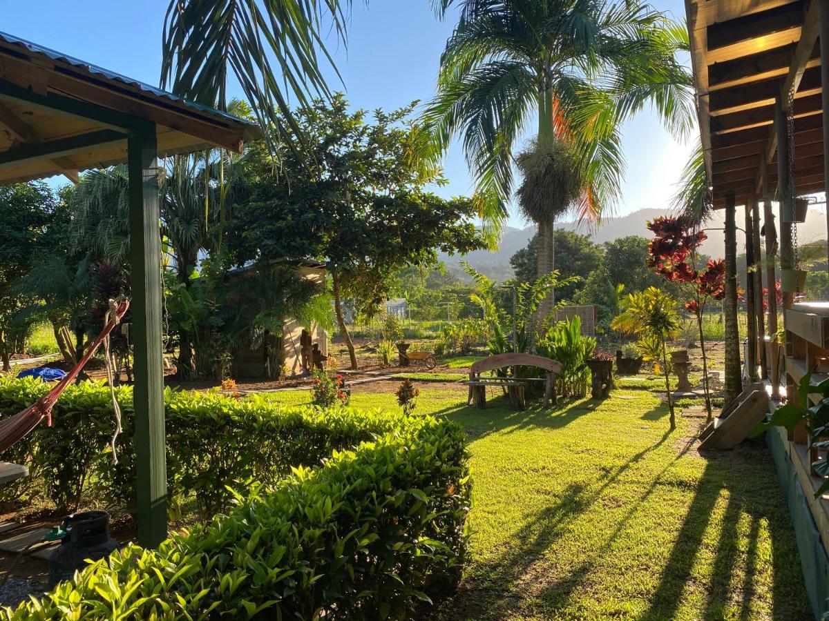 Uvita Oasis Retreat With Villa Cabins And Apartment Zewnętrze zdjęcie