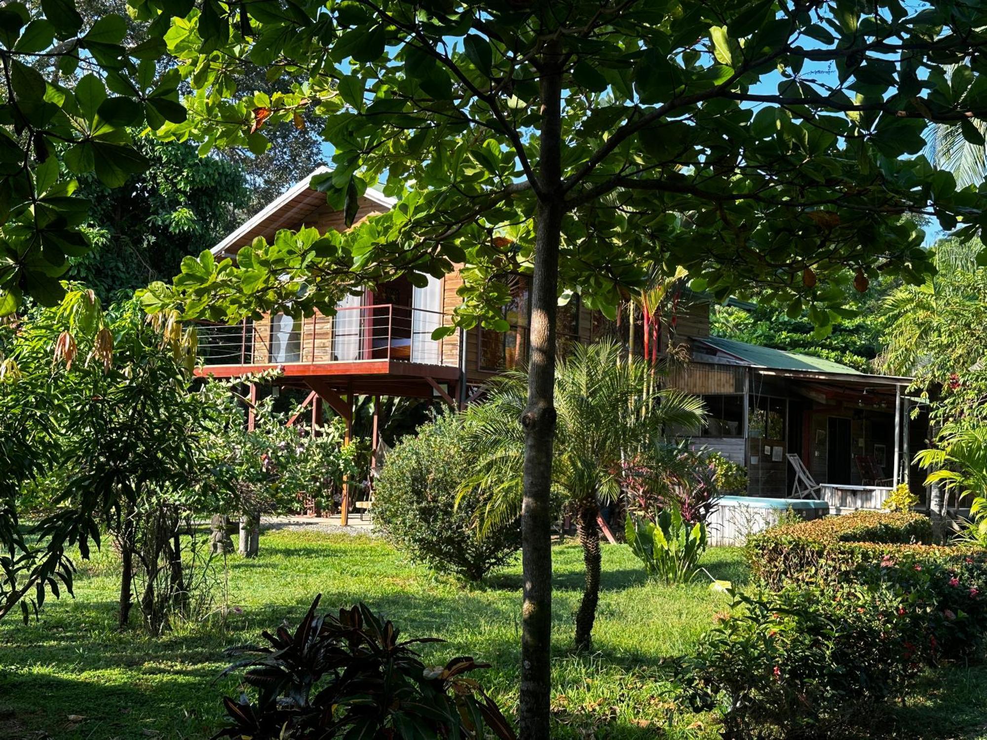 Uvita Oasis Retreat With Villa Cabins And Apartment Zewnętrze zdjęcie