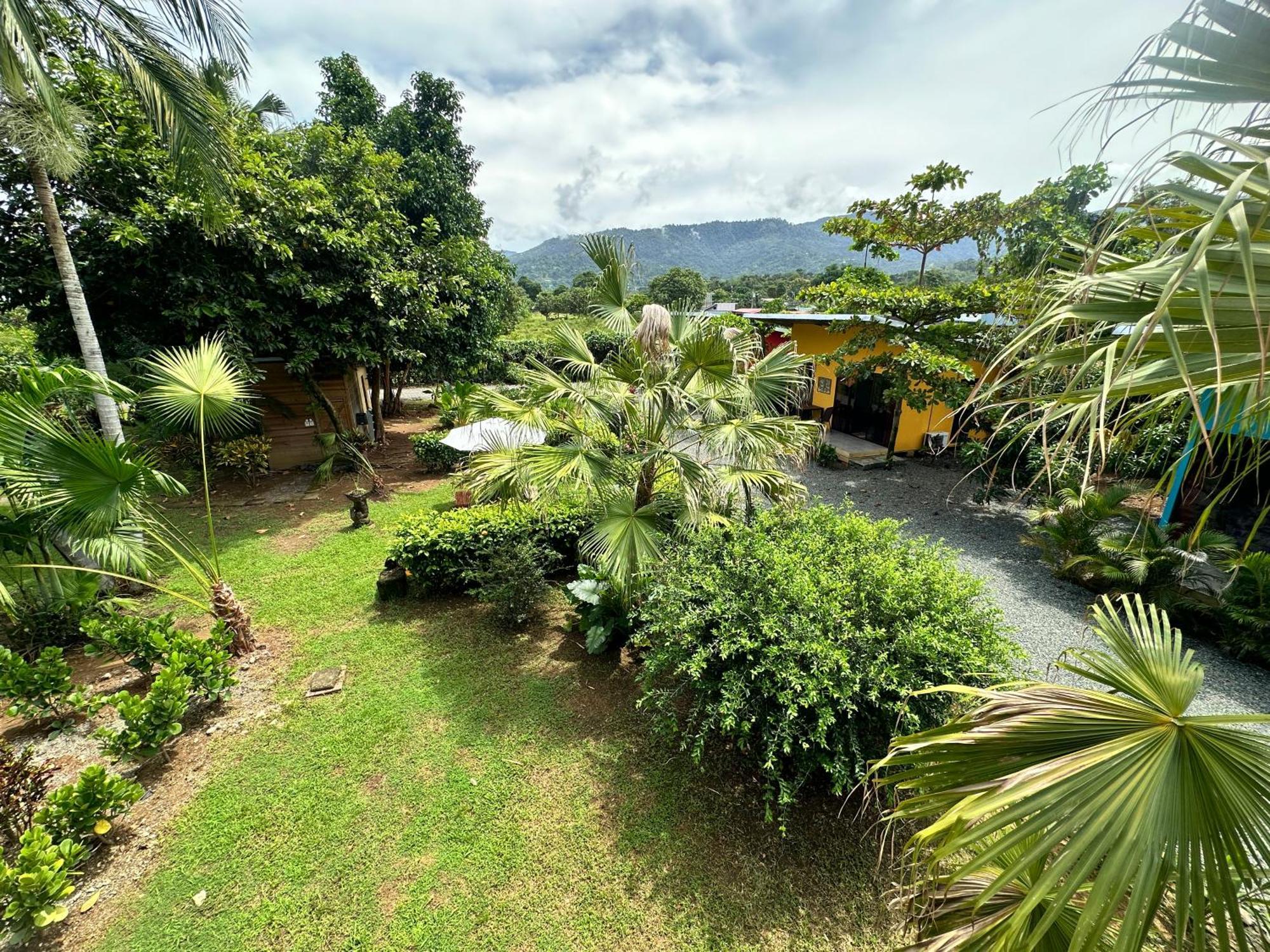 Uvita Oasis Retreat With Villa Cabins And Apartment Zewnętrze zdjęcie