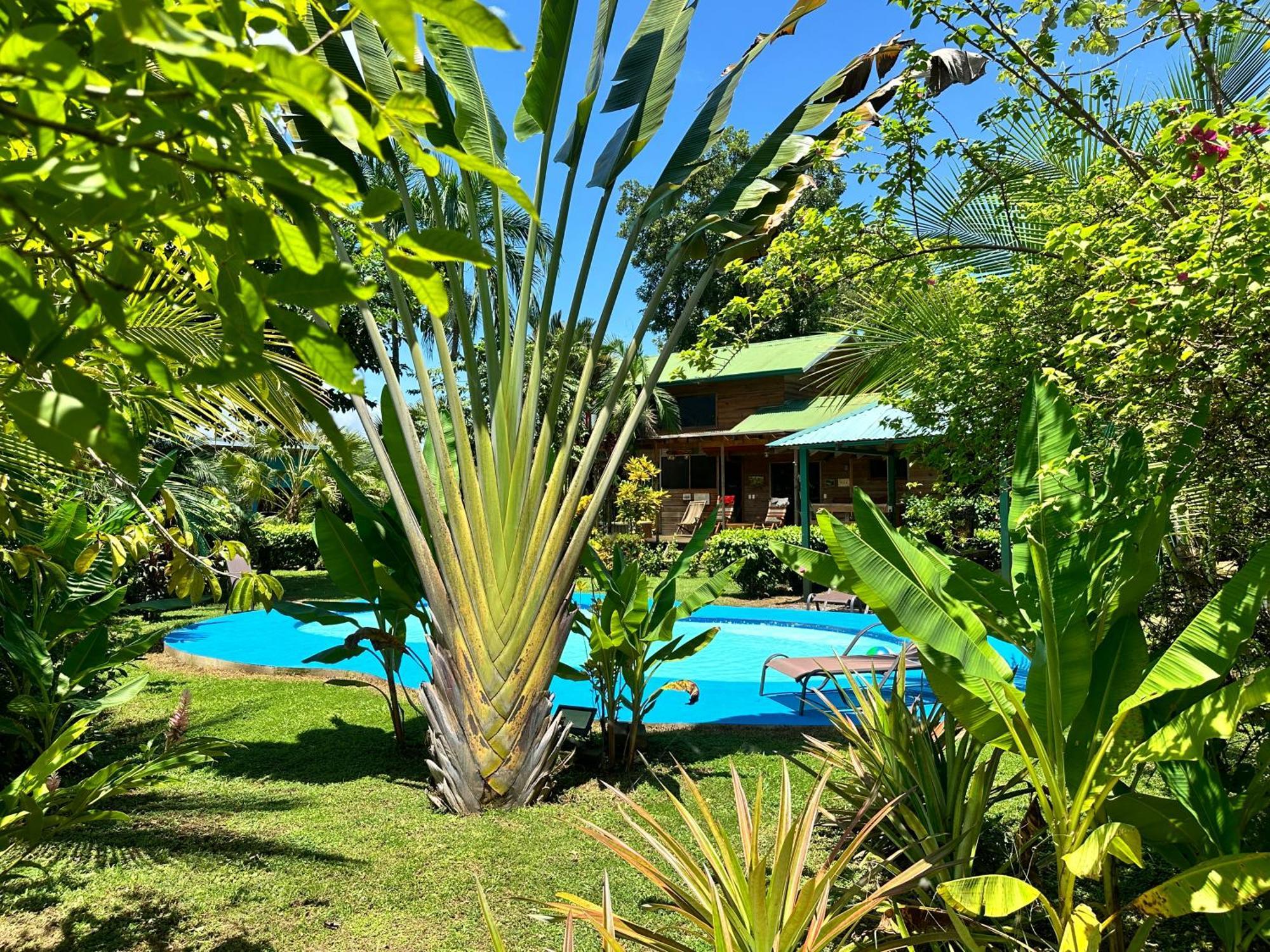 Uvita Oasis Retreat With Villa Cabins And Apartment Zewnętrze zdjęcie