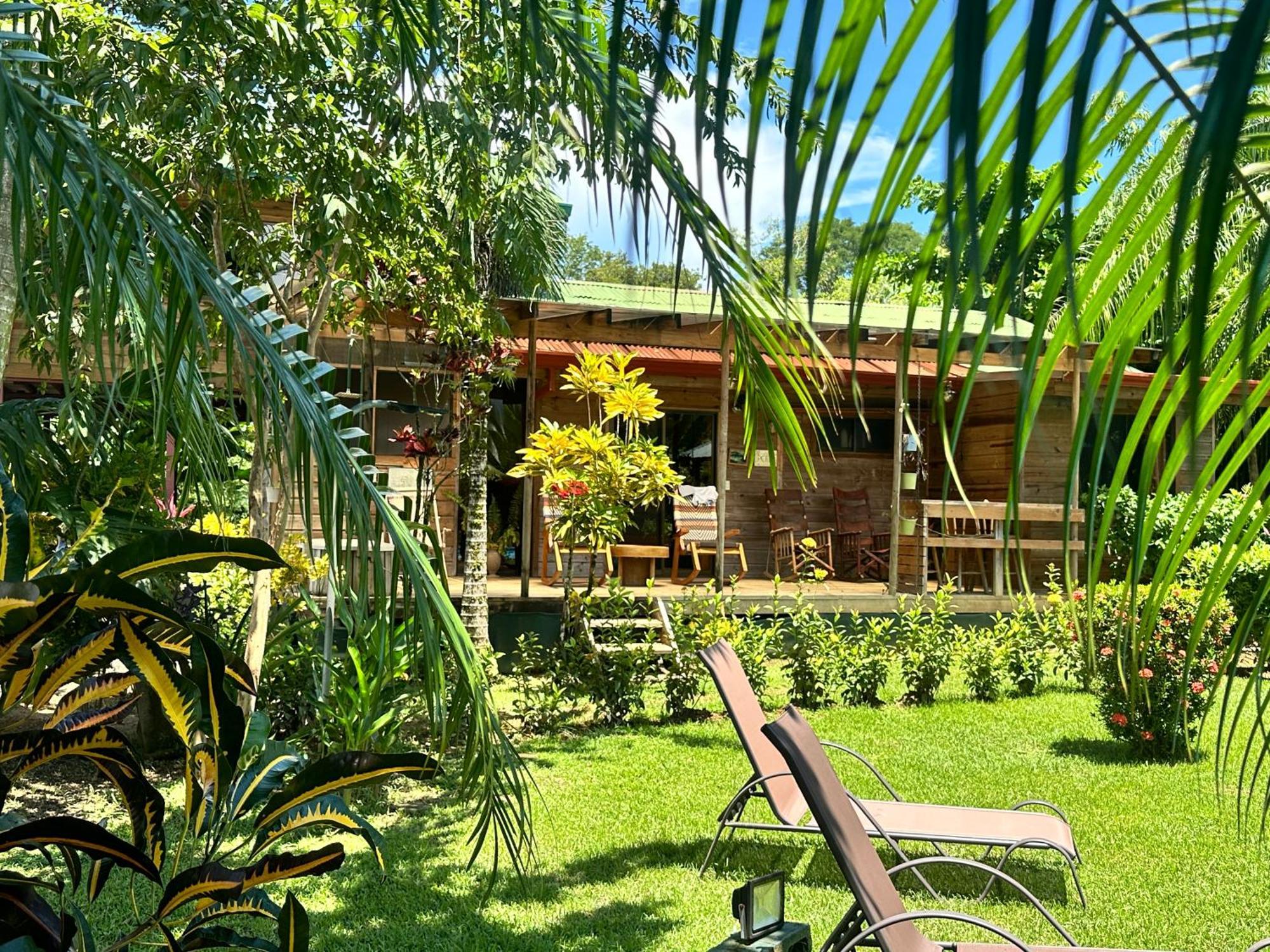 Uvita Oasis Retreat With Villa Cabins And Apartment Zewnętrze zdjęcie