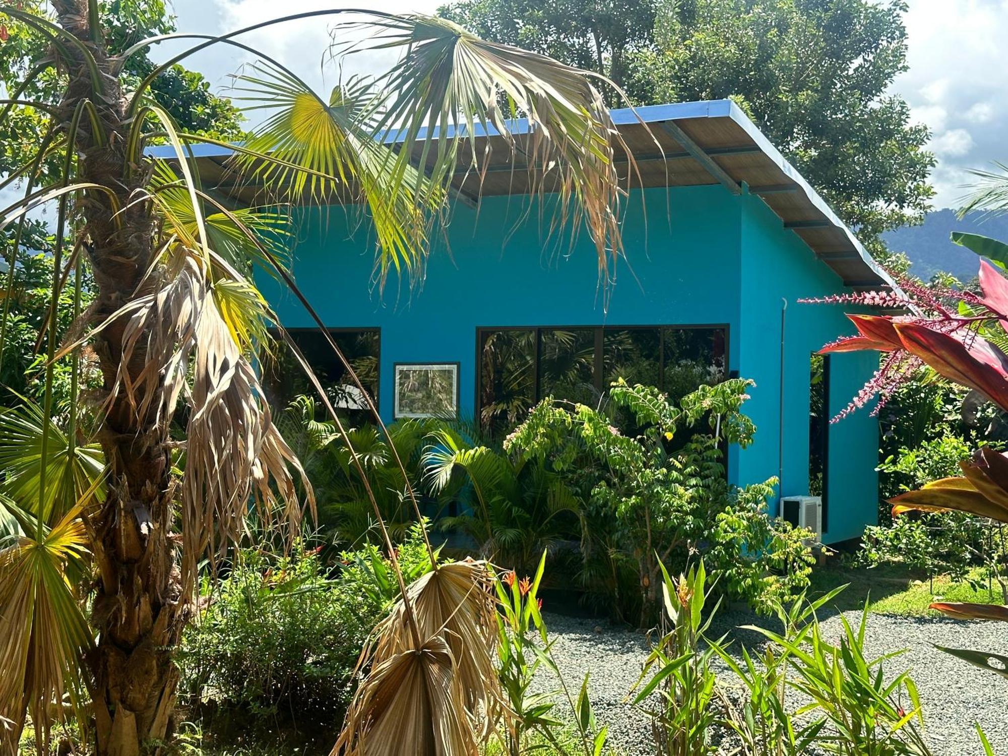 Uvita Oasis Retreat With Villa Cabins And Apartment Zewnętrze zdjęcie