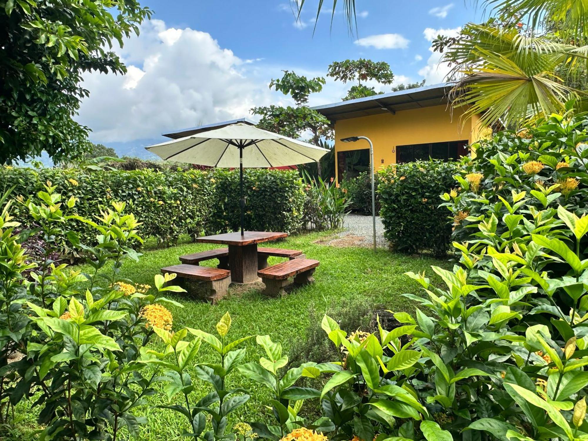 Uvita Oasis Retreat With Villa Cabins And Apartment Zewnętrze zdjęcie