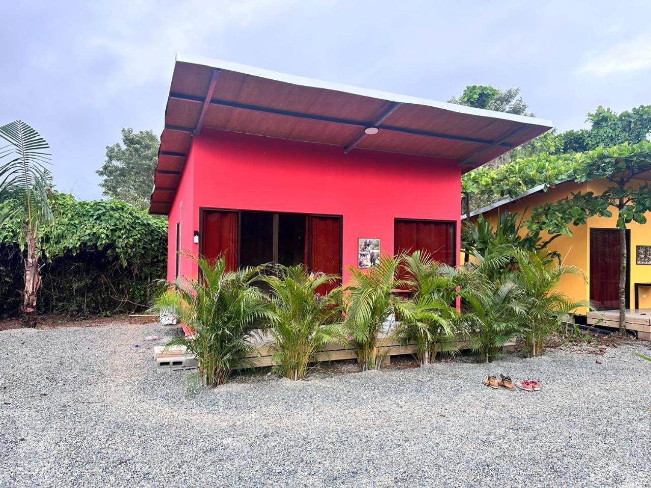 Uvita Oasis Retreat With Villa Cabins And Apartment Zewnętrze zdjęcie